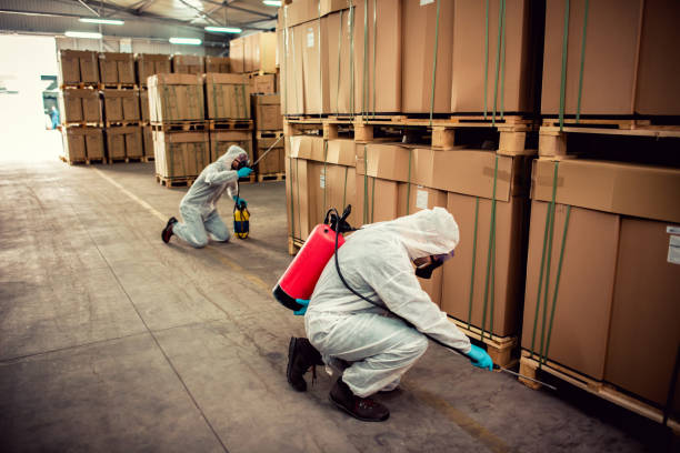 Best Best Pest Control Companies  in Bayville, NY