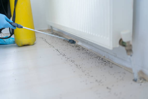 Best Pest Inspection Near Me  in Bayville, NY