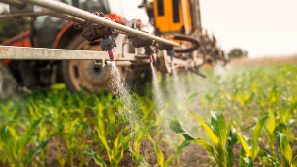 Best Commercial Pest Control Services  in Bayville, NY